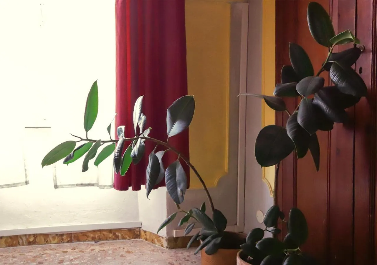 Retro B&B Pisa Bed and breakfast